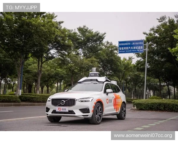 大阳城手机登录步骤详解,避免常见问题确保顺畅使用体验 大阳城手机登录步骤详解,避免常见问题确保顺畅使用体验