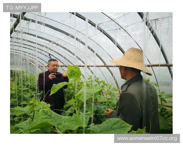 开云真人登录引领行业标准打造安全稳定的网络娱乐生态系统